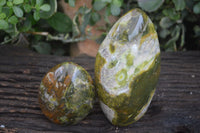 Polished Green Opal Standing Free Forms  x 2 From Antsirabe, Madagascar - Toprock Gemstones and Minerals 