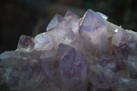 Natural Jacaranda Amethyst Clusters x 2 From Zambia