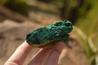 Natural Chatoyant Silky Malachite Specimens  x 6 From Kasompe, Congo - TopRock