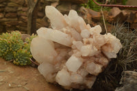 Natural Large Pineapple Candle Quartz Cluster  x 1 From Madagascar - TopRock