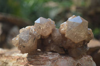 Natural Cascading White Phantom Smokey Quartz Clusters  x 3 From Luena, Congo - TopRock