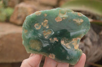 Polished  One Side Polished Emerald Mtorolite Plates  x 6 From Zimbabwe