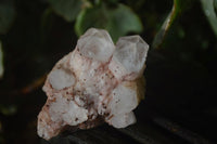 Natural Pink Candle Quartz Clusters  x 12 From Madagascar