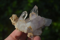 Natural Clear, Smokey, Amethyst and Window Quartz Specimens x 6 From Brandberg, Namibia - Toprock Gemstones and Minerals 