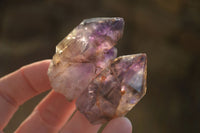 Natural Royal Zulu Window Amethyst Crystals x 14 From, Zululand