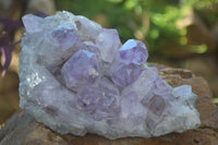 Natural Jacaranda Amethyst Clusters x 2 From Zambia