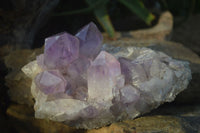 Natural Jacaranda Amethyst Clusters  x 2 From Zambia - Toprock Gemstones and Minerals 