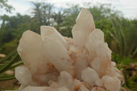 Natural Large Pineapple Candle Quartz Cluster  x 1 From Madagascar - TopRock