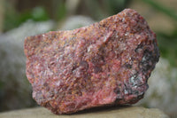 Natural Rough Red Rhodonite Specimens x 6 From Zimbabwe