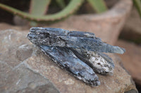 Natural Single Blue Kyanite Crystals  x 44 From Karoi, Zimbabwe