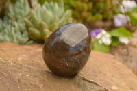 Polished Large Morion Smokey Quartz Eggs x 5 From Madagascar - TopRock