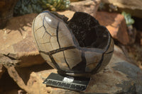 Polished Septerye Sauvage "Dragons Egg" x 1 From Mahajanga, Madagascar - TopRock