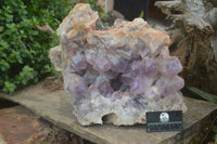 Natural Jacaranda Amethyst Cluster x 1 From Mumbwa, Zambia - TopRock