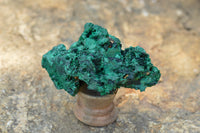 Natural Chatoyant Silky Malachite Specimens  x 6 From Kasompe, Congo - TopRock