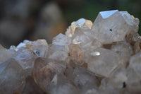 Natural Cascading White Phantom Smokey Quartz Cluster x 1 From Luena, Congo