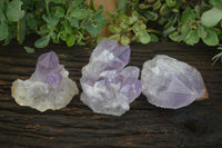 Natural Jacaranda Amethyst Clusters  x 3 From Mumbwa, Zambia - Toprock Gemstones and Minerals 