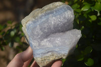 Natural Blue Lace Agate Geode Specimens  x 3 From Malawi - Toprock Gemstones and Minerals 