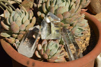 Polished Clear Quartz Crystal Points x 24 From Madagascar - TopRock