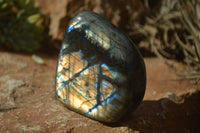 Polished Labradorite Standing Free Forms With Blue & Gold Flash  x 6 From Tulear, Madagascar - TopRock