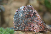 Natural Rough Red Rhodonite Specimens x 6 From Zimbabwe