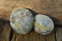 Polished Green & White Dendritic Opal Gallets x 12 From Madagascar - TopRock