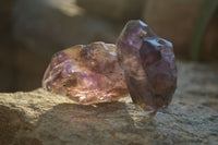 Natural Royal Zulu Window Amethyst Crystals x 14 From, Zululand