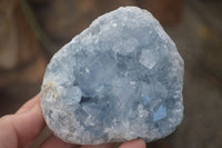 Natural Blue Celestite Crystal Specimens  x 3 From Sakoany, Madagascar - Toprock Gemstones and Minerals 