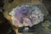 Natural Jacaranda Amethyst Clusters  x 2 From Zambia - Toprock Gemstones and Minerals 