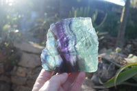 Polished Watermelon Fluorite Slabs  x 2 From Uis, Namibia