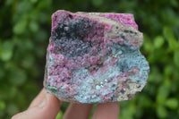 Natural Pink Salrose Cobaltion Dolomite Specimens  x 6 From Kakanda, Congo