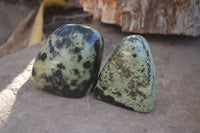 Polished Leopard Stone Free Forms  x 6 From Inyanga, Zimbabwe