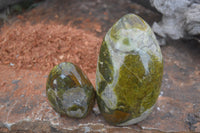 Polished Green Opal Standing Free Forms  x 2 From Antsirabe, Madagascar - Toprock Gemstones and Minerals 