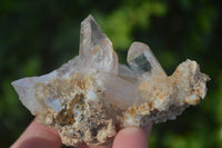 Natural Clear, Smokey, Amethyst and Window Quartz Specimens x 6 From Brandberg, Namibia - Toprock Gemstones and Minerals 