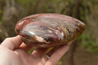 Polished Petrified Red Podocarpus Wood Hearts  x 2 From Mahajanga, Madagascar - TopRock