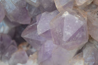 Natural Jacaranda Amethyst Cluster x 1 From Mumbwa, Zambia - TopRock