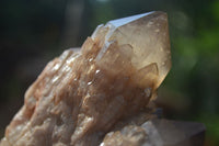 Natural Cascading White Phantom Smokey Quartz Clusters  x 3 From Luena, Congo - TopRock