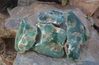 Polished  One Side Polished Emerald Mtorolite Plates  x 4 From Zimbabwe