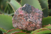 Natural Rough Red Rhodonite Specimens x 6 From Zimbabwe