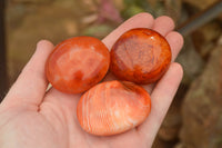 Polished Small Carnelian Palm Stones / Gallets - sold per kg - From Madagascar - TopRock