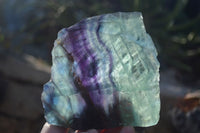 Polished Watermelon Fluorite Slabs  x 2 From Uis, Namibia