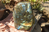 Polished Blue & Gold Labradorite Standing Free Form  x 1 From Tulear, Madagascar - TopRock