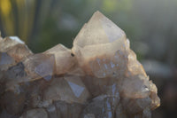 Natural Cascading White Phantom Smokey Quartz Cluster x 1 From Luena, Congo