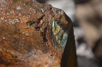 Natural Sliced Tigers Eye Specimen x 1 From Prieska, South Africa - Toprock Gemstones and Minerals 