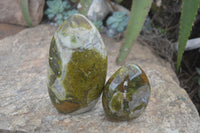 Polished Green Opal Standing Free Forms  x 2 From Antsirabe, Madagascar - Toprock Gemstones and Minerals 