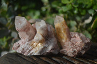 Natural Pink Candle Quartz Clusters  x 12 From Madagascar