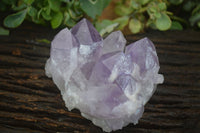 Natural Jacaranda Amethyst Clusters  x 3 From Mumbwa, Zambia - Toprock Gemstones and Minerals 