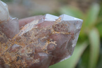 Natural Red Hematoid Quartz Specimens x 3 From Karoi, Zimbabwe