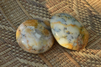 Polished Green & White Dendritic Opal Gallets x 12 From Madagascar - TopRock