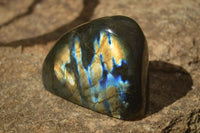 Polished Labradorite Standing Free Forms With Blue & Gold Flash  x 6 From Tulear, Madagascar - TopRock