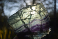 Polished Watermelon Fluorite Slabs  x 2 From Uis, Namibia